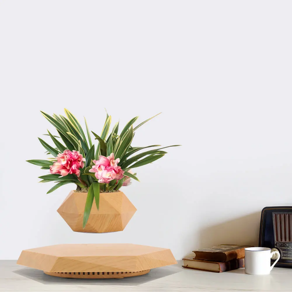 Levitating Plant Pot Magnetic Levitation Flower Pot, Floating Planter for Desk, Air Bonsai Pot Cool Tech Stress Relief Decor, Unique Gift for Home Office, Modern Levitating Plant Holder