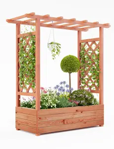 Wooden Elevated Garden Planter Box with Trellis, Sturdy Side Supports, Protective Canopy & 4 Drainage Holes,for Climbing Plants, Flowering Vines, Vegetables & Blossoms - Outdoor/Indoor
