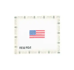Mini American Flag Canvas