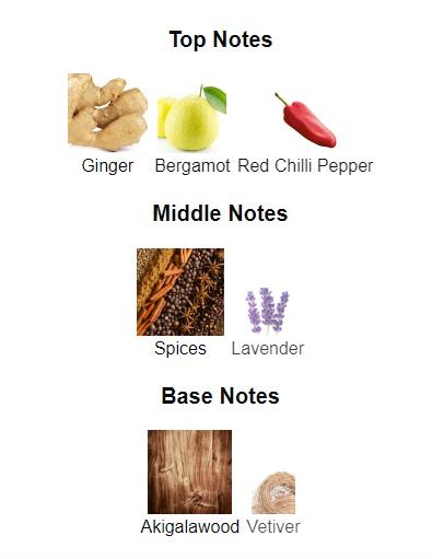 Armaf Club De Nuit Private Key To My Success for Men Extrait de Parfum Spray, 3.4 Ounce