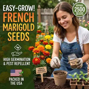 2500 French Marigold Seeds for Planting - Plant & Grow Heirloom French Marigolds in Home Outdoor Garden – Planting Instructions for Vibrant Rare Blooms – Great Gardening Gift, 1 Packet, Orange, Red， mixed color