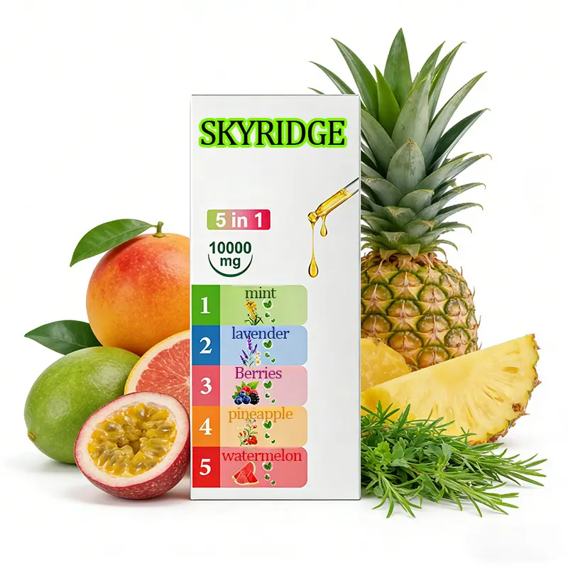 SKYRIDGE Smart Oral Care: Electric Metal Oral Spray, Available in Various Flavors—Instantly Freshen Your Breath for Spring Dates and Travel Oral Hygiene Products
