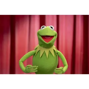 Guy Gilchrist signed and sketched The Muppets Kermit the Frog Image (8x10, 11x14) Pre-Order