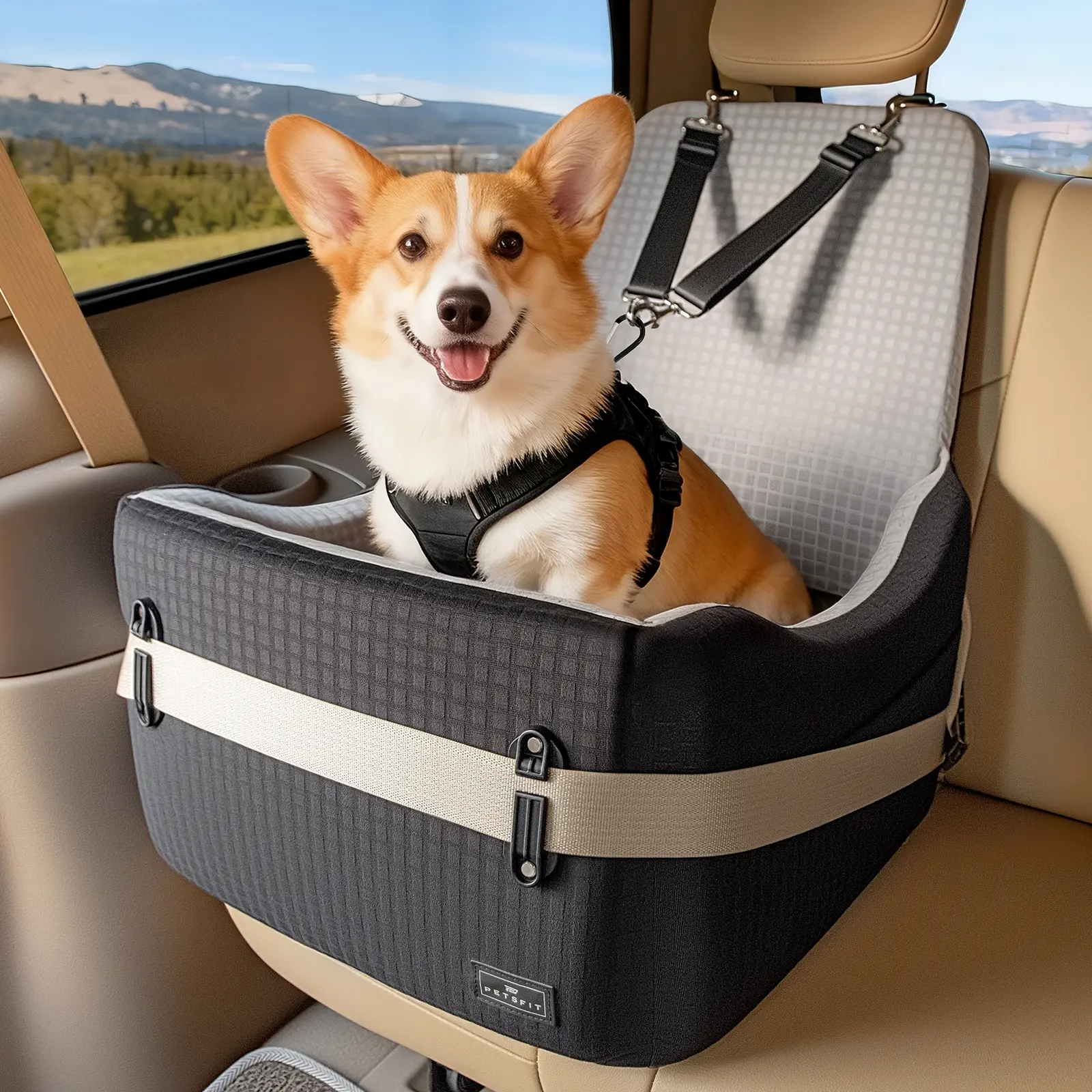PETSFIT Dog Car Seat for Small/Medium Dogs Up to 35 lbs – Patented Safety System, 5" Memory Foam Pet Booster Car Seat, Fully Detachable and Washable Dog Carseat with 2 Storage Pockets (Black & Grey),back to school sohochic