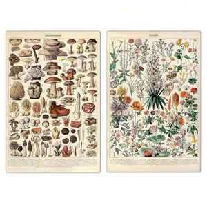 2 retro style canvas posters, mushroom and herb identification reference illustrations, plant education wall decoration 2D flat printing frameless paintings