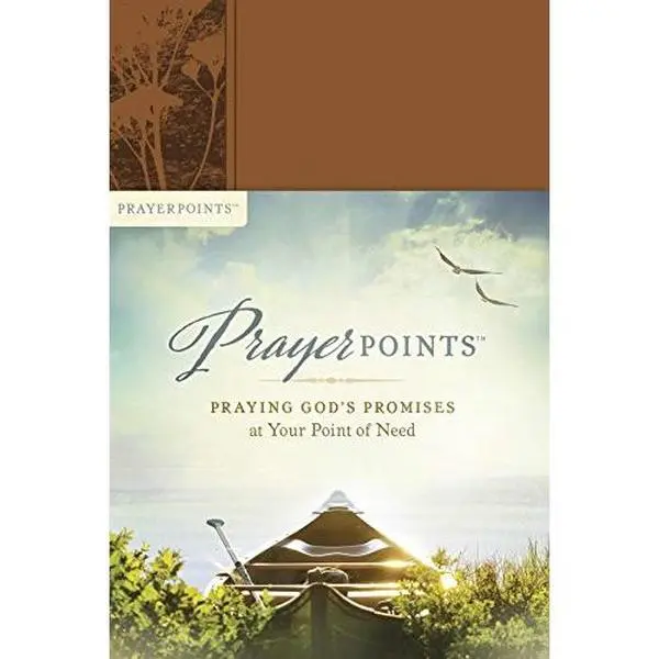 USED Book - Prayerpoints: Praying God's Promises at Your Point of Need (Unknown) - english