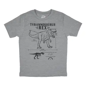 Youth Funny T Shirts Tyrannosaurus Rex Infographic Awesome Dino Tee For Kids Funny T Shirts Science Tops for Kid Funny Dinosaur Short Sleeve Novelty Tees for Kids Light Grey