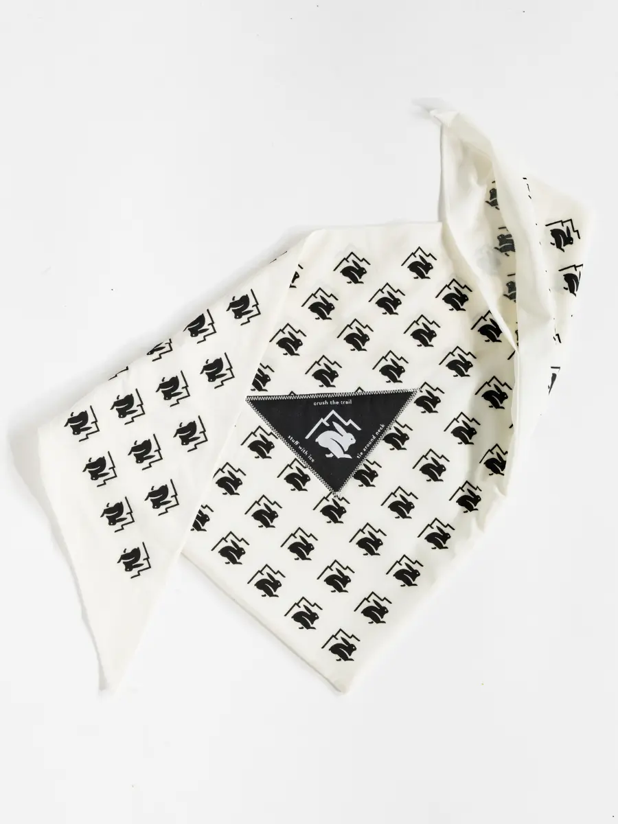 Ice Bandana Ice Bandana