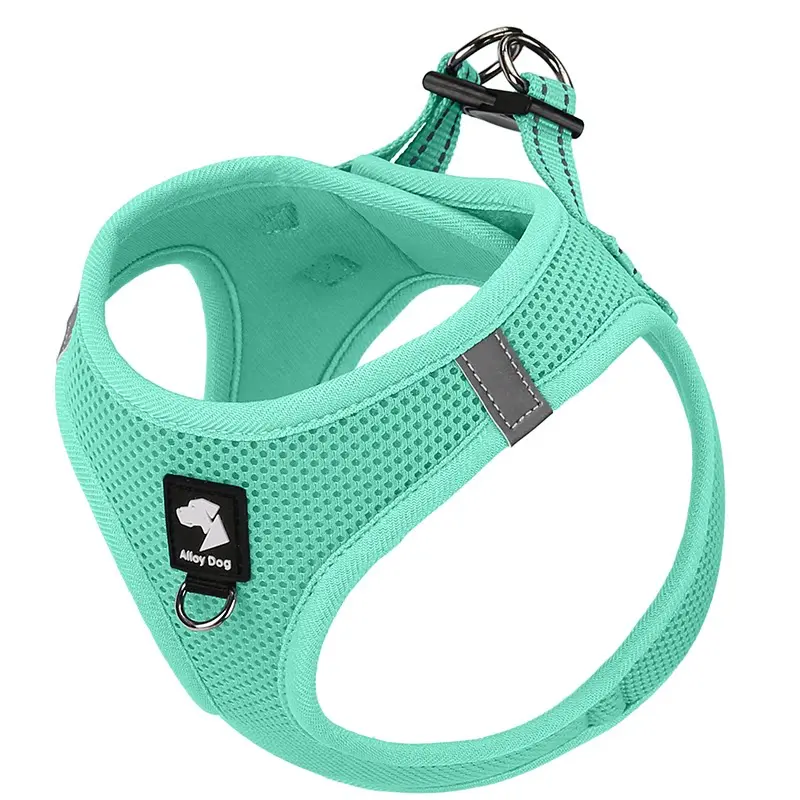 Mint green (without leash)