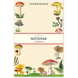 Cavallini Notepads