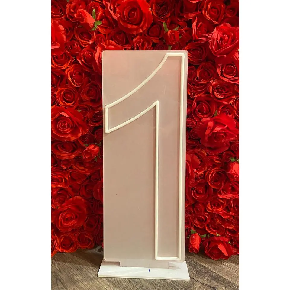 24" Neon Numbers