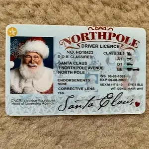 Design Driver License, 1 Count Creative ID Card, Festive & Party Supplies for Home Party School Office, Funny Dad Card, Fun Party Cards