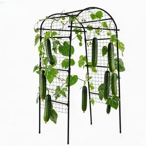 Heavy-Duty Garden Arch Trellis for Raised Beds – 5.3x5.3 ft Rust-Resistant Vertical Plant Support – for Cucumbers, Melons, Grapes, Roses, Climbing Vegetables – Durable Outdoor Structure – Black – 160×160 cm
