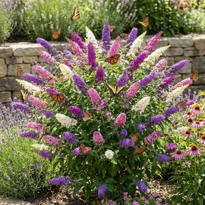 200 Pcs Butterfly Bush Flower Seeds for Planting Outdoor-Perennial Eustoma Cut Flower Plant Garden Home Ornamental Non-GMO