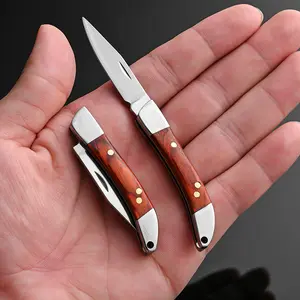 Portable Edc Outdoor Folding Knife, Sharp Mini Pocket Knife, Compact Keychain Tool, Ideal for Daily Use, Fishing, Camping, Hiking, Compact Folding Design, Lightweight Portability