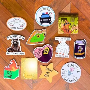 12PC Funny Fridge Magnets Cute Fun Sassy Quirky Novelty Magnet for Adults Car Desk Kitchen Meme This is Fine Dumpster Dog Live Laugh Love Howdy Silly Goose Bumps Raccoon Accessories Gifts
