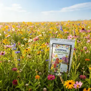 Wildflower Mix – 5000 Seeds Garden Seeds, Colorful Variety of Pollinator-Friendly Blooms, Supports Local Wildlife, Perfect for Garden Beds, Borders & Meadows