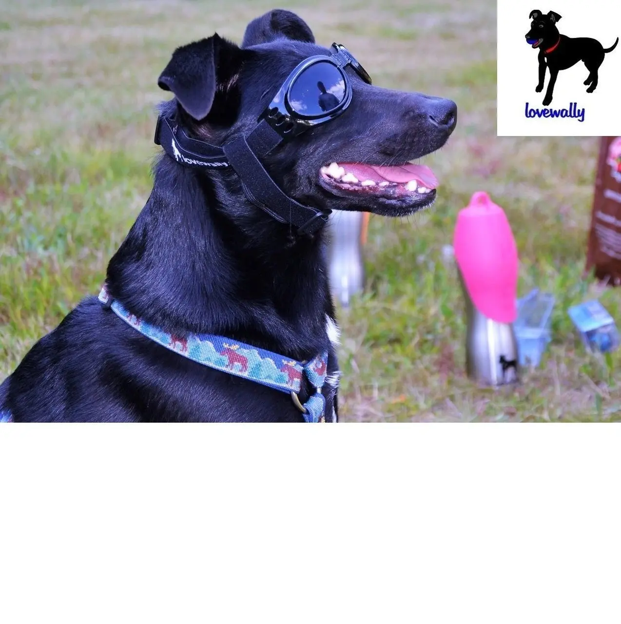 Lovewally Dog Goggles - 100% UV Protection Shatterproof Lenses - Adjustable Straps for Most Breeds