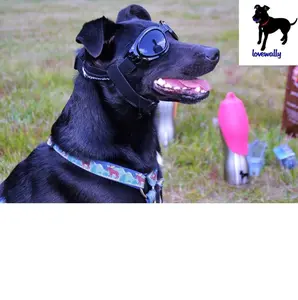 Lovewally Dog Goggles - 100% UV Protection Shatterproof Lenses - Adjustable Straps for Most Breeds
