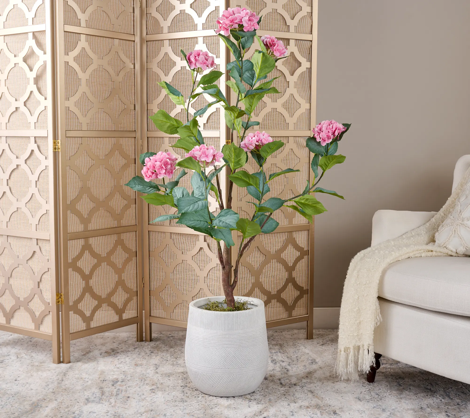 4' Hydrangea Bush in Pot by Valerie