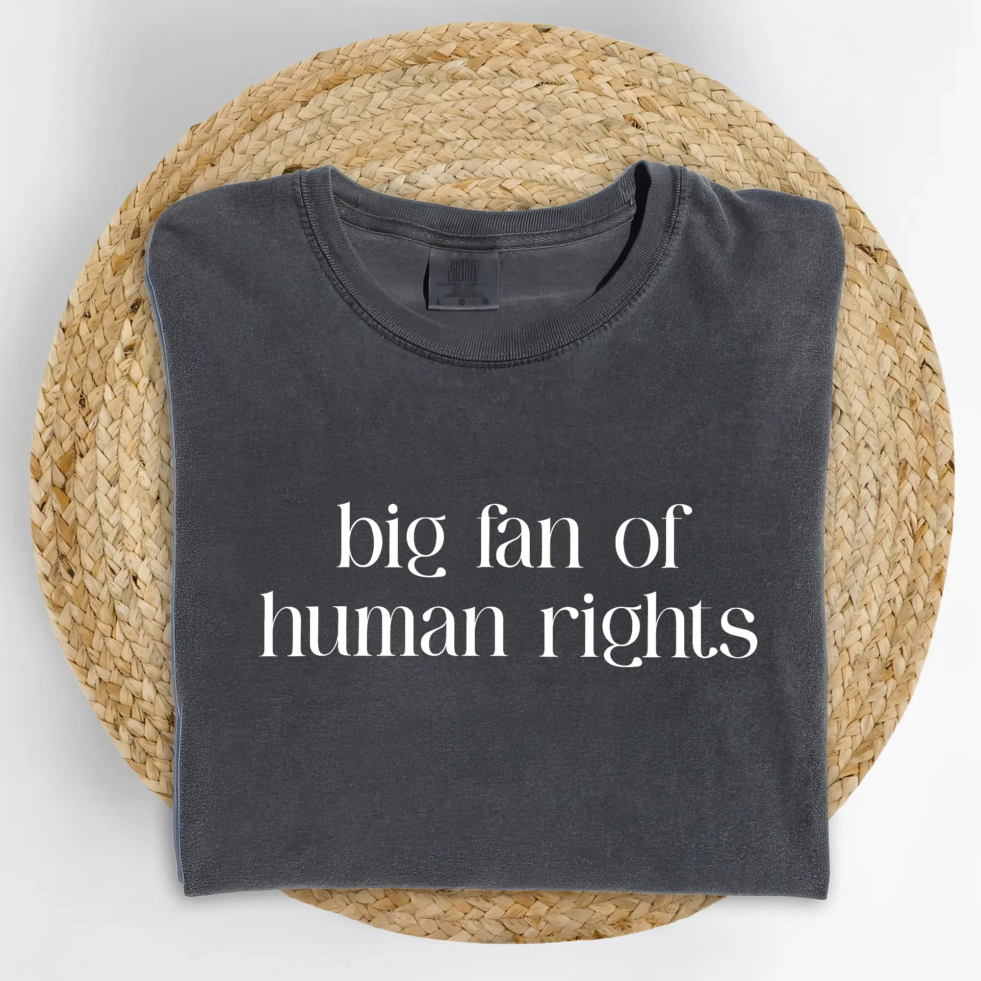 MAPTEES Big Fan Of Human Rights Comfort Colors Shirt, Equality Graphic Tee, Social Justice T-shirt, Protest Outfits, Democrat Clothing