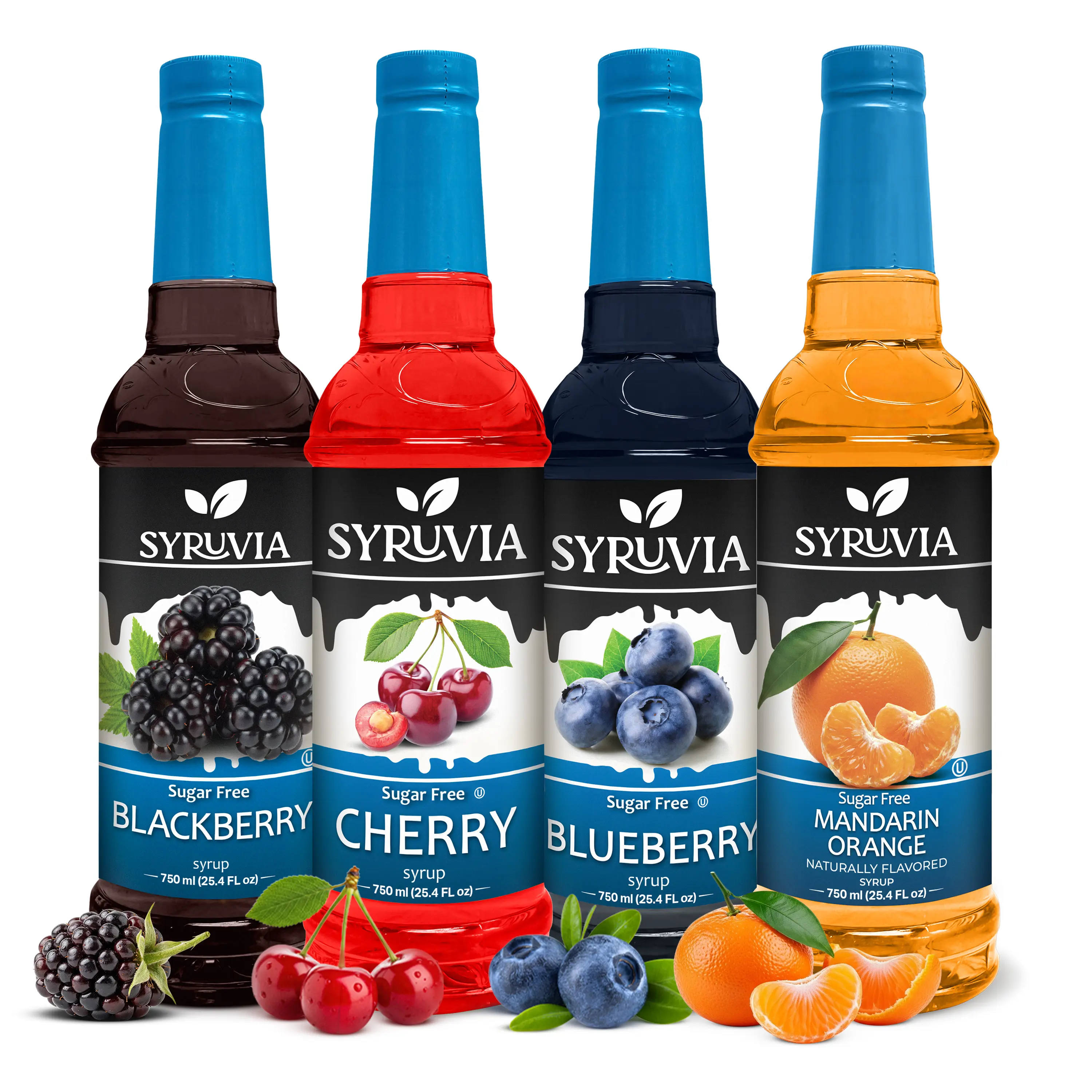 Syruvia Sugar Free Fruity Syrup Variety Pack - Blackberry, Cherry, Blueberry & Mandarin Orange - Gluten-Free, Kosher, 25.4 fl oz Bottles - Great for Teas, Lemonades, Sodas & Desserts (4-Pack)