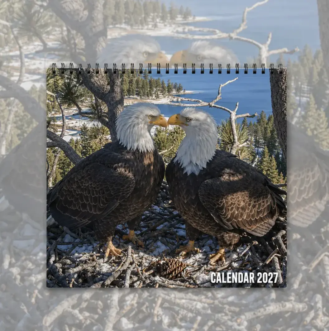 Jackie And Shadow Calendar 2027, Eagles Couple RIP Jackie