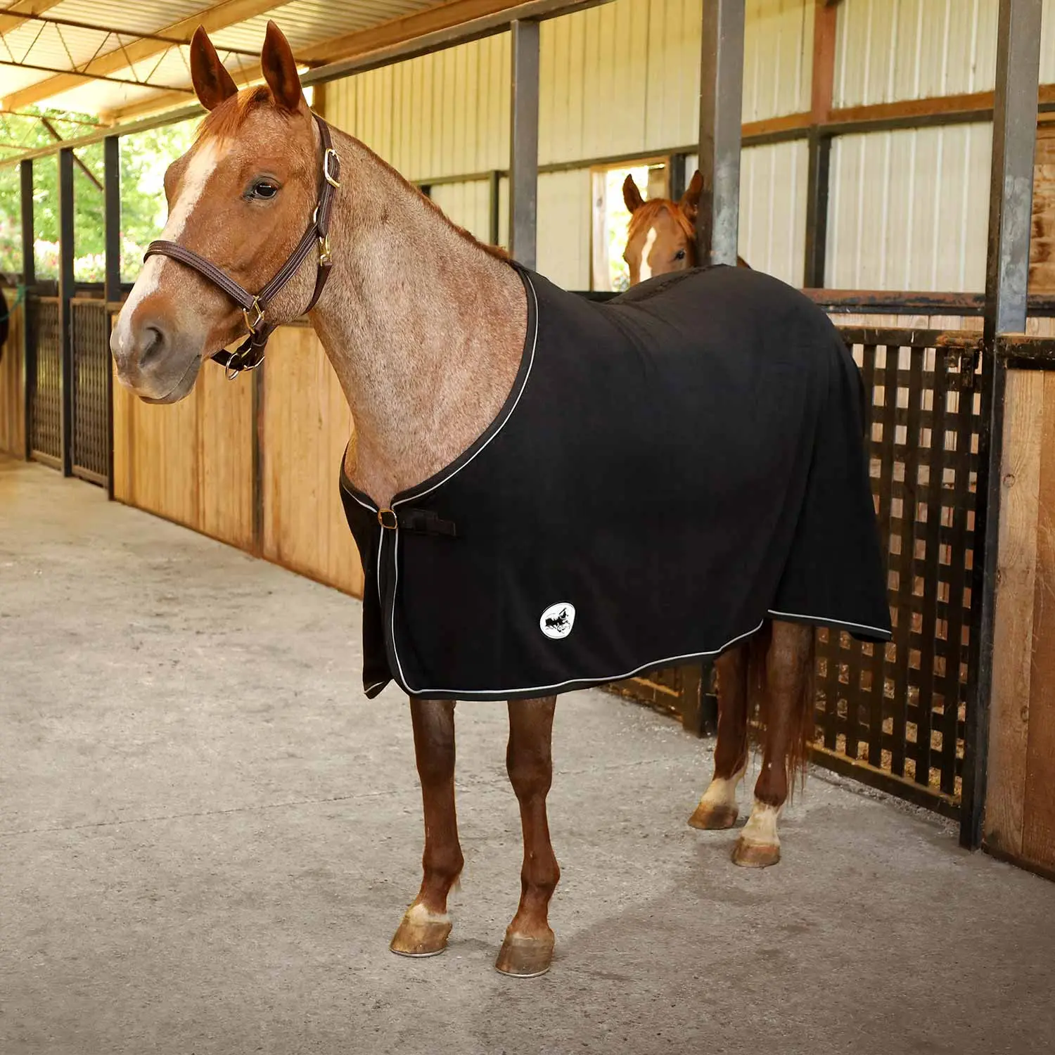 Jeffers Elite Fleece Horse Cooler Blanket Jeffers Elite Fleece Horse Cooler Blanket
