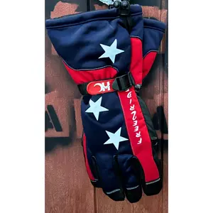 Extreme Weather Gauntlet Gloves