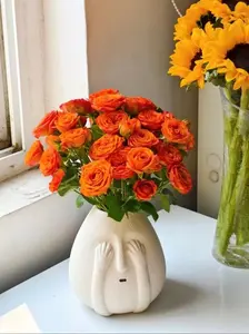 Ins-style High-value Creative Ceramic Vase, Cute Desktop & Living Room Decoration, Original Modern Home Decor, Unique & Quirky Style