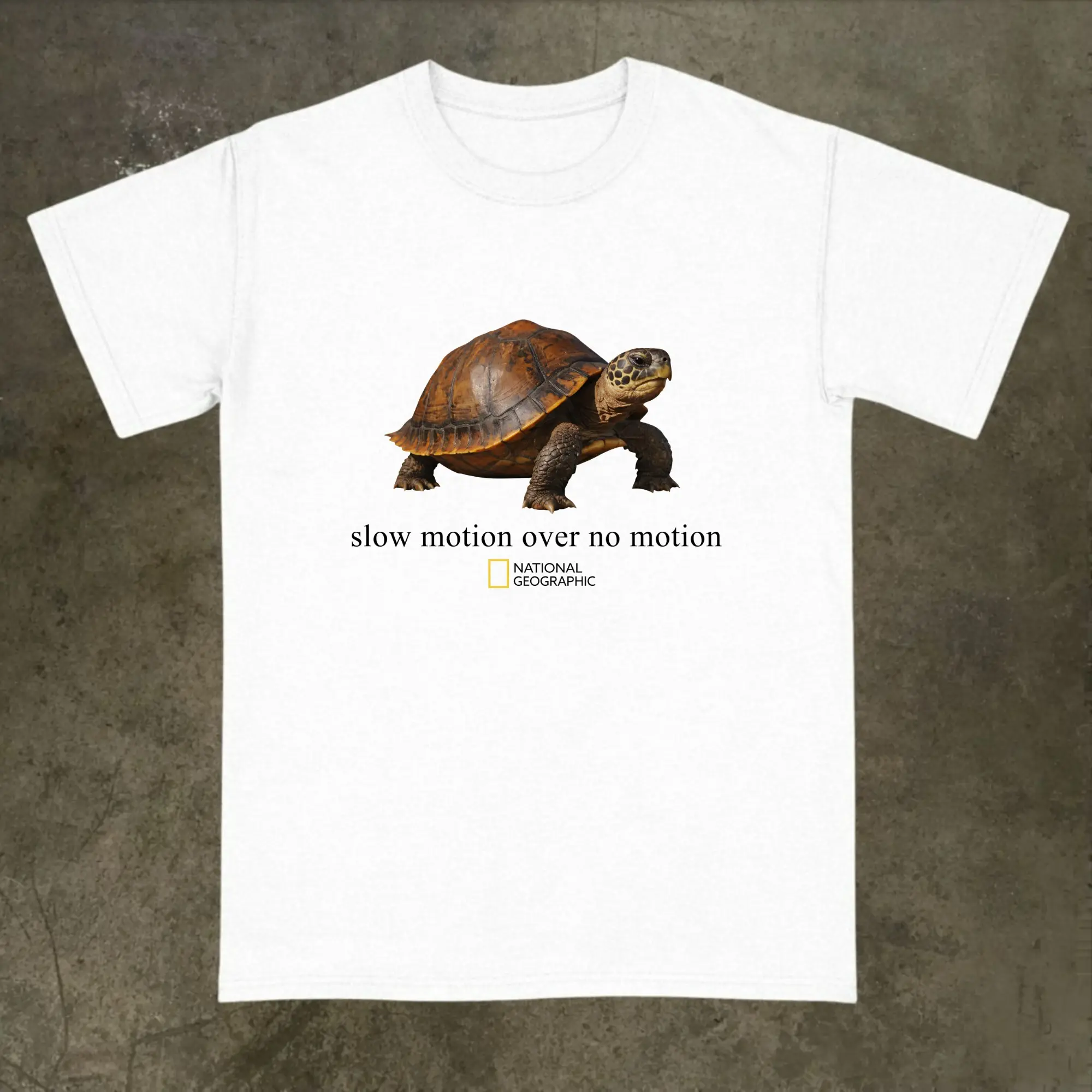 National Geographic "Slow Motion Over No Motion" Turtle T-Shirt, Funny Graphic Tee, Animal Tee, Vintage Cotton Shortsleeve Basic Top, Y2k, Gifs for Men's and Women's Graphic Tee, Gifts for Animal Lovers, Casual Streetwear Unisex Top Streetwear