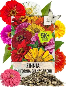 Zinnia Seeds California Giants Variety | 5,000+ Heirloom Seeds Zinnia Elegans Open Pollinated | Prolific Large Multicolor Blooms Makes a Great Cut Flower | Bulk