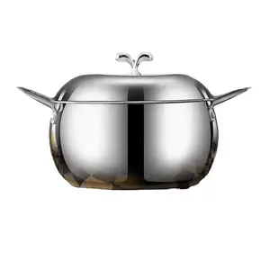 1 Apple Shaped Stainless Steel Stew Pot with Lid, Non-Coated Multi-Use Soup Pot, Dual Handles, Compatible with Electric Stove