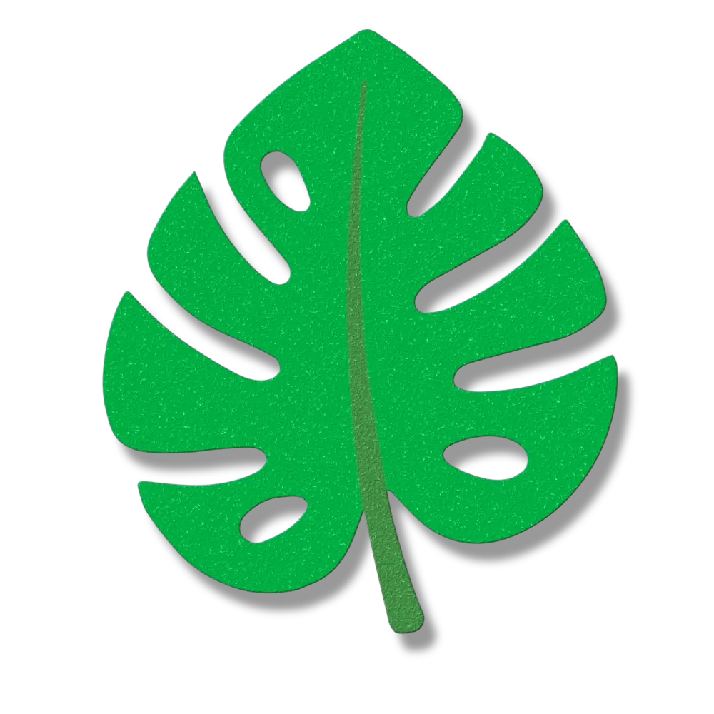 Monstera Leaf