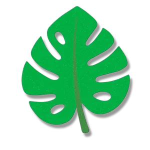Monstera Leaf