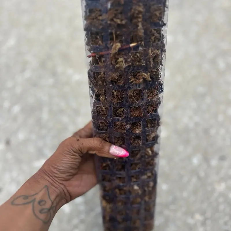15 inch moss pole