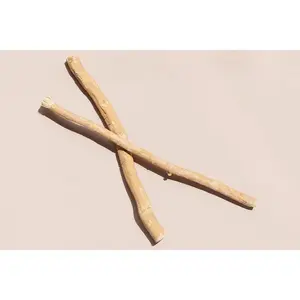 Organic Miswak Twig: Sustainably Sourced from the Arak Tree
