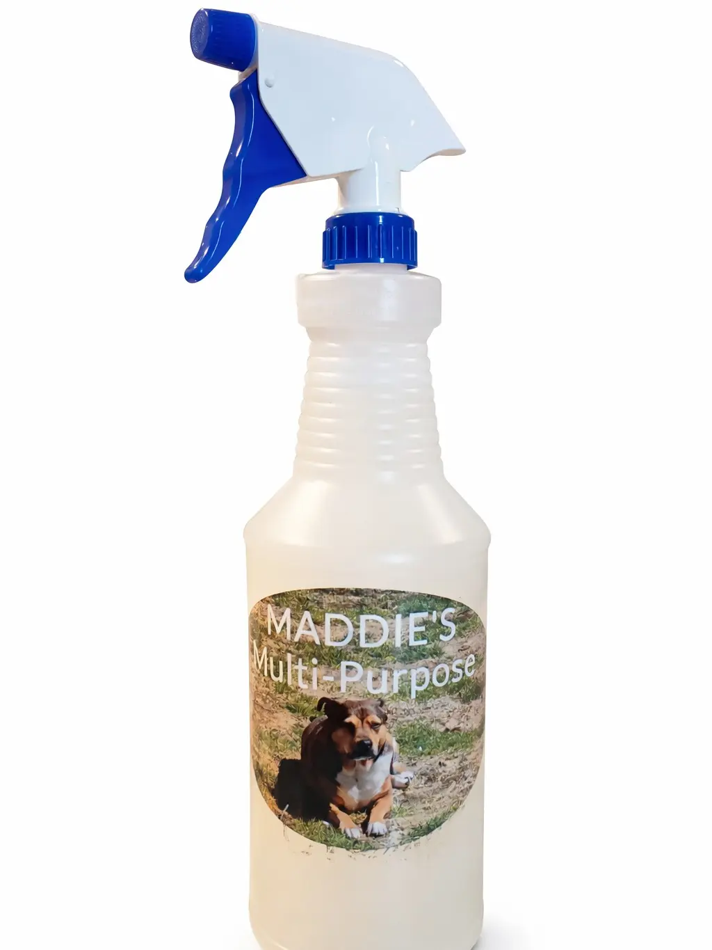 Maddie's Multi-Purpose Cleaner Cinnamon Vanilla Scented - All-In-One Spray for Kitchen, Bathroom, Glass & More - Natural & Plant-Based Formula - Easy Spray-and-Wipe Application