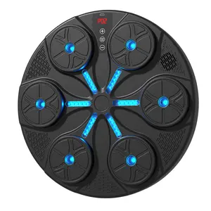 Bluetooth Music Boxing Target Adult Children Home Boxing Training Device Punching Wall Target Boxing Platform