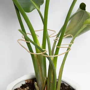 Metal Monstera Leaf Plant Support Bracket - Sturdy Metal Fixing Stand with Easy Installation for Large Indoor Plants, Monstera, Bird of Paradise, Aesthetic Trellis for Healthy Growth