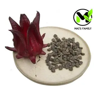 Roselle Seeds Hoa Bụt Giấm Asian Sour Leaf Red Sorrell Hibiscus sabdariffa for Tea & Culinary Use - Tree Flowers by Mai's Family