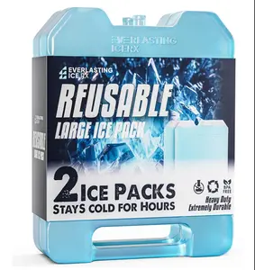 Everlasting Ice RX Large Reusable Ice Packs for Cooler Camping with Handle 2 pack