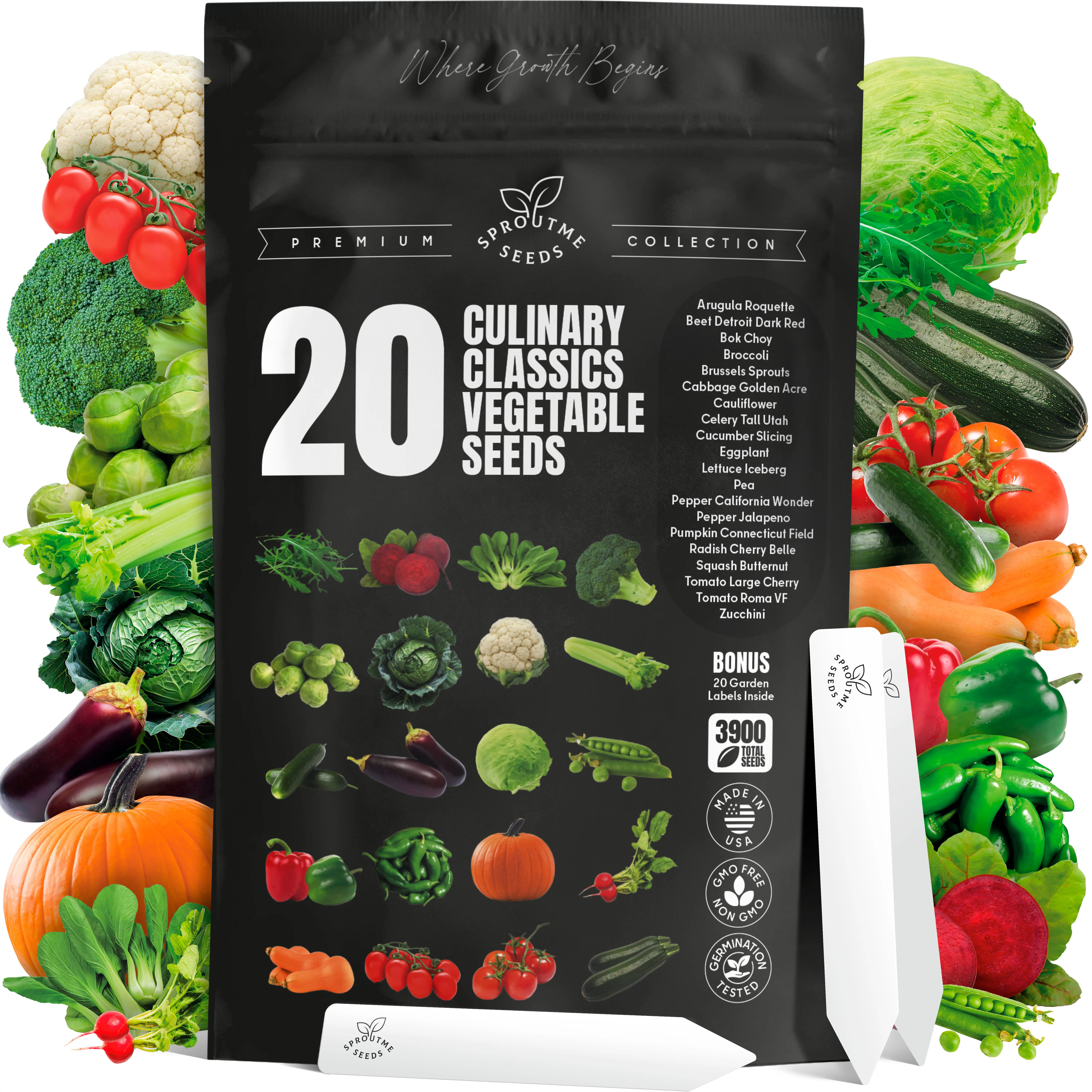 20 Variety Vegetable Seed Garden Kit – 3900+ Seeds