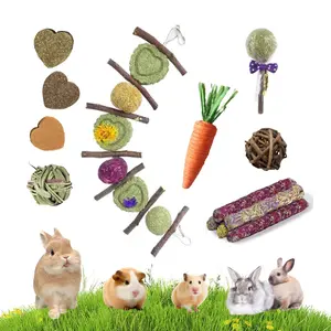 Rabbit Chew Toy Set, Natural Apple Wood & Timothy Hay Bunny Chew Toys, Grass Balls, Flower Hay Biscuits & Hanging Treat Toys for Guinea Pig, Chinchilla, 14PCS