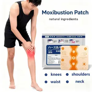Pure Herbal Heat Patches for Shoulder, Waist, Knee & Foot, Natural Long-Lasting Warmth (7 Pcs) nihon brand