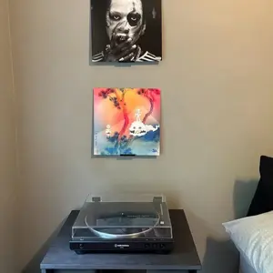 Vinyl/Album Cover Wall Shelf