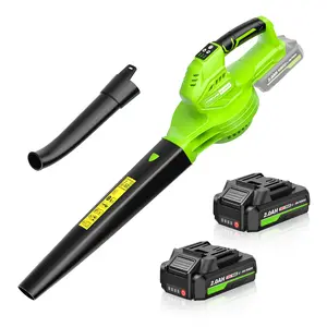 20V Cordless Leaf Blower with 2 Batteries & Charger - Lightweight Electric Blower for Patio, Driveway, Snow & Garden Cleaning