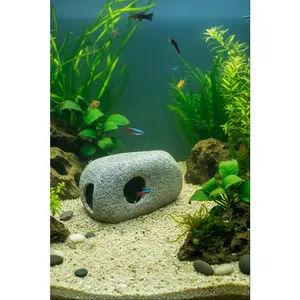 One Rock Structure
