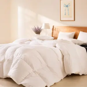 White Goose Down Comforter All Season Quilted Duvet Insert – Lightweight Fluffy Breathable Hypoallergenic Down Fiber Fill Bed Comforter Queen Size for Spring Fall, White，Warehouse Clearance / Limited Stock / Multiple Sizes