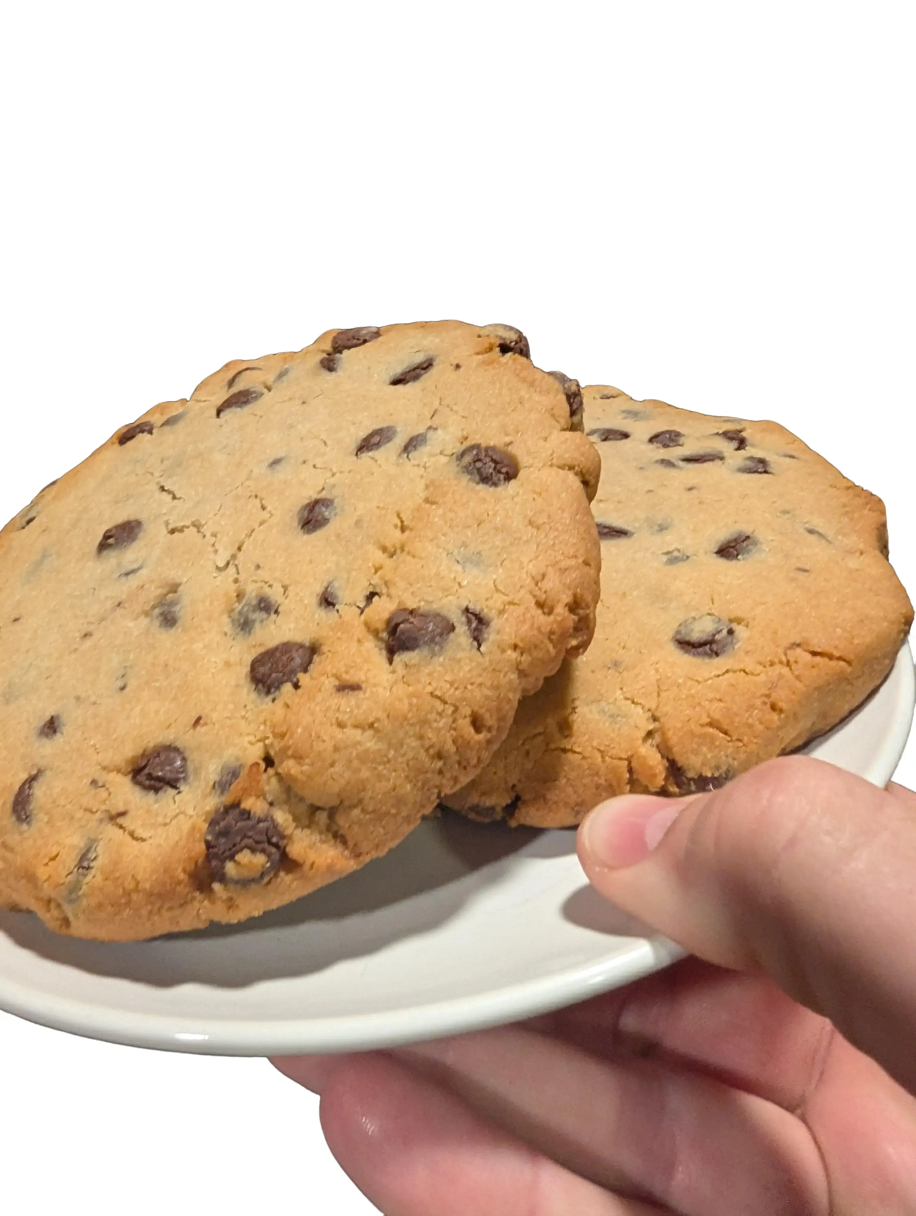 G-Force Chocolate Chip Cookies HALF POUND Gluten Free 20g Protein each